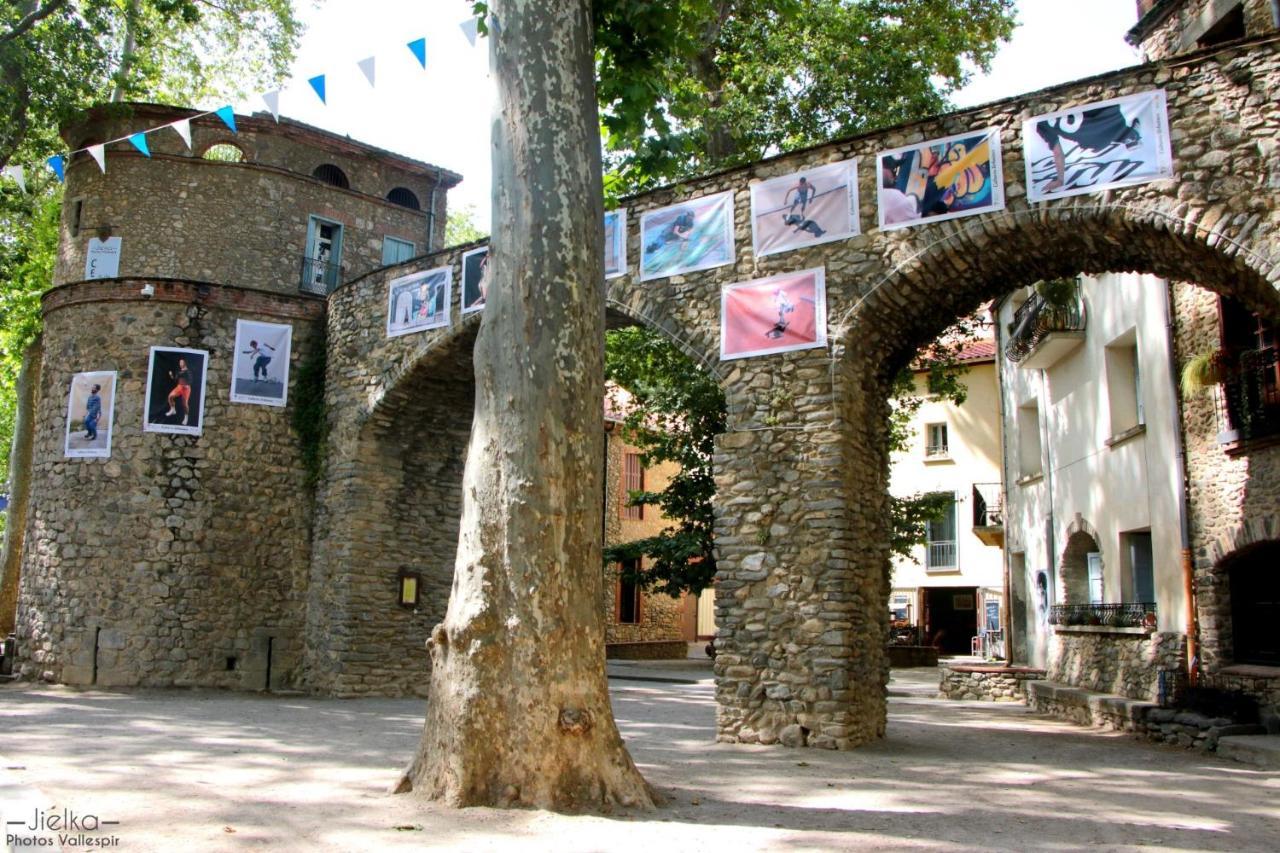 La Cigogne Apartment Céret Exterior foto