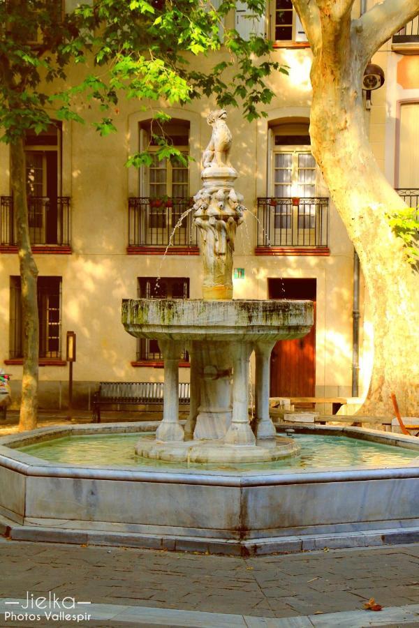 La Cigogne Apartment Céret Exterior foto