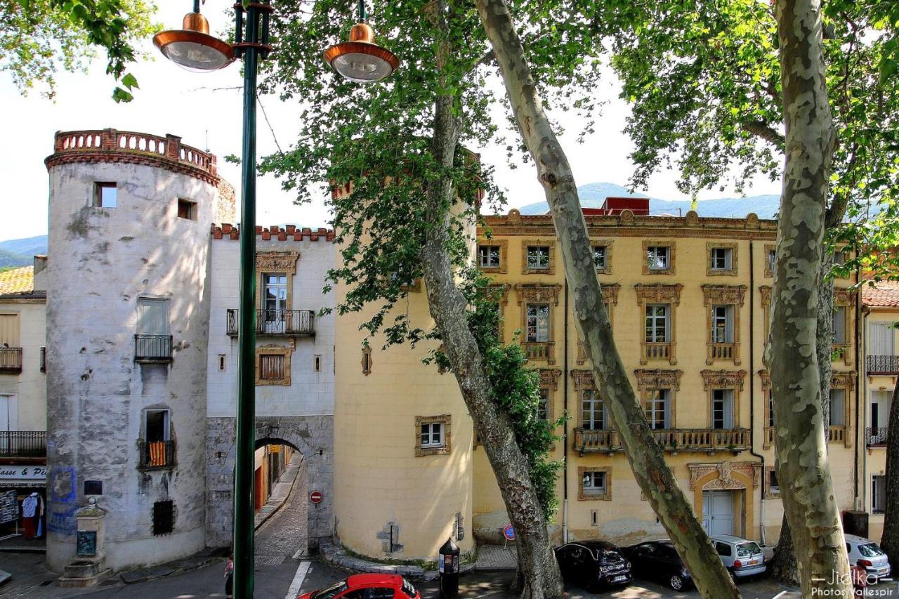 La Cigogne Apartment Céret Exterior foto